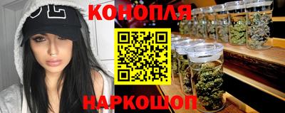 крисы Лесосибирск