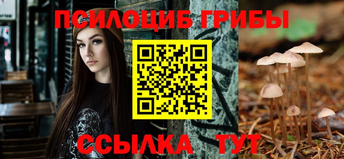Псилоцибиновые грибы ЛСД Анапа
